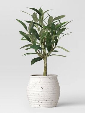 STUDIO MCGEE NWT 12" Small Artificial Potted Olive plant